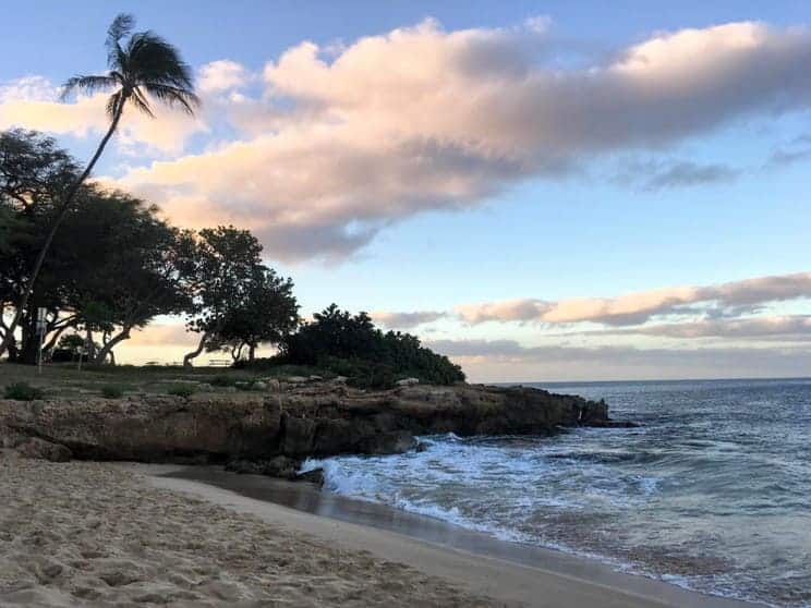Early morning Hawaii beach shot with palm tree and waves crashing on rocks